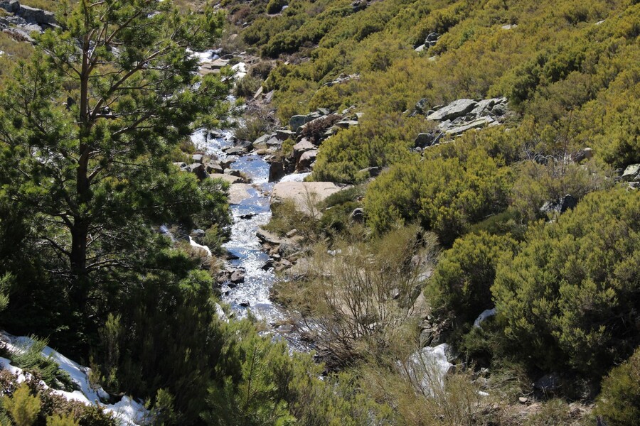 Arroyo de la Laguna