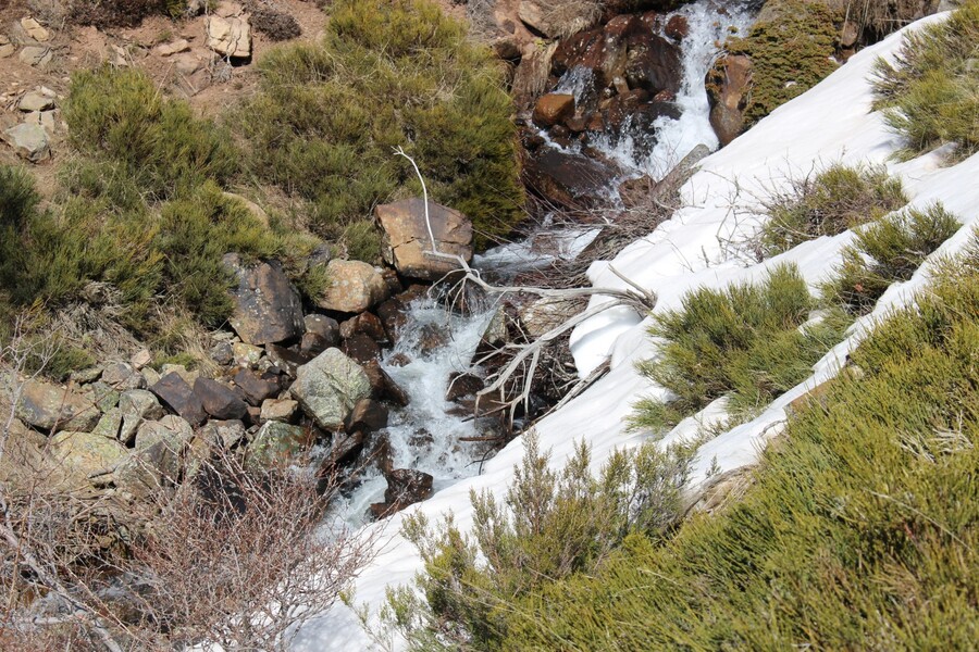 Arroyo de la Laguna